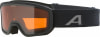 Alpina Scarabeo DH Skibrille