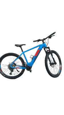 Genesis E-Pro MTB 2.2 LTD