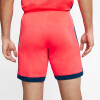 Nike Dri-FIT Academy férfi rövidnadrág