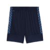 Puma teamLIGA26 Training Short 100%PES, dryCELL
