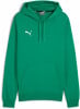 Puma teamGOAL Casuals Hoodie