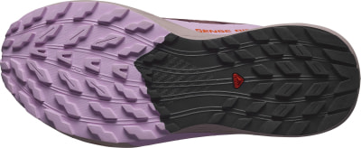 Salomon Sense Ride 5 GTX Traillaufschuhe