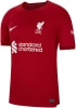Nike Liverpool FC 22/23 Heimtrikot