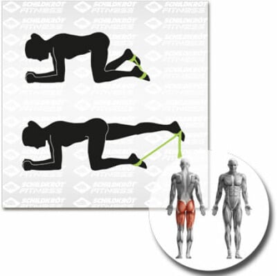 Schildkröt Fitnessband Größe: 900x40mm Schildkröt Fitnessband Größe: 900x40mm