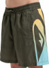 Quiksilver Everyday Holmes Badeshorts