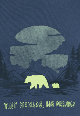 Jack Wolfskin Graphic Cotton T-Shirt