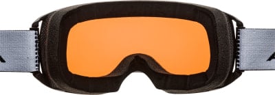 Alpina Arris OTG Skibrille
