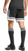 adidas SQUA25 SHO M Short AEROREADY