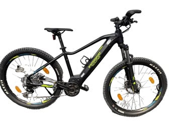 Schwarzes E-Bike mit Federung und Maxxis-Mountainbike-Reifen.