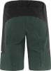 Löffler Voyage-E CSL Radshorts