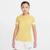 Nike Dri-FIT Academy gyerek póló