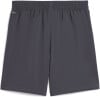 Puma Tad Foundations Shorts