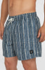O'Neill Cali Print 15 Badeshorts