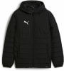 Puma teamADDITIONS Hooded Trainingsjacke