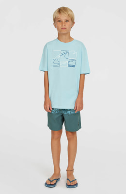 O'Neill Cali Stripe Badeshorts