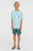 O'Neill Cali Stripe Badeshorts