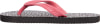 Firefly Madera IX Flip Flops