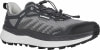 Lowa Fortux GTX Traillaufschuhe