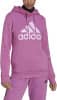 adidas Essentials Logo Fleece Hoodie