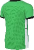 Grünes Kurzarmshirt mit schwarzem Kragen und Ärmelbündchen.