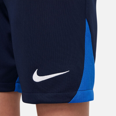 Nike Academy Pro Short