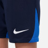 Nike Academy Pro Short