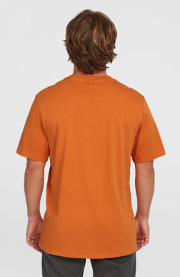 O'Neill Original Cali Logo T-Shirt