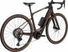 Polygon Tambora AE-N E-Gravelbike 28"