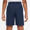 Nike Multi Dri-FIT Shorts