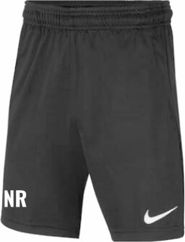 Nike Dri-FIT Park 20 Trainingsshorts