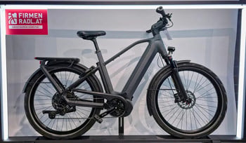 Gazelle Eclipse T11 XL