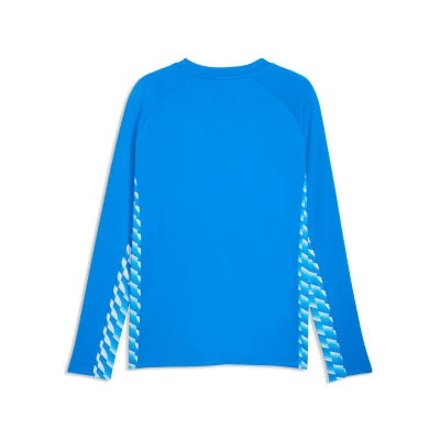 Puma teamLIGA26 Training Sweater 100%PES, dryCELL Puma teamLIGA26 Training Sweater 100%PES, dryCELL