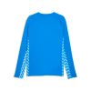 Puma teamLIGA26 Training Sweater 100%PES, dryCELL