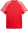 Puma teamLIGA26 Jersey T-Shirt 100%PES, dryCELL