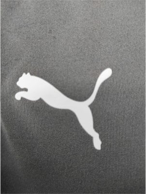 Puma IndividualLIGA T-Shirt