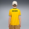 Puma BVB Home Jersey Replic Fantrikot