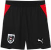 Puma ÖFB 2026 Fussballshorts Replica