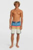 O'Neill Lennox Scallop Badeshorts
