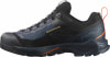 Salomon X Ultra Alpine GTX Outdoorschuhe