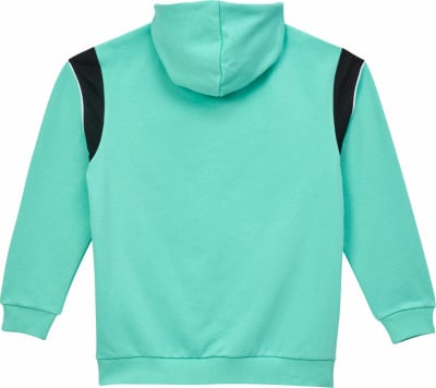 Puma ÖFB FtblArchive Hoodie Puma ÖFB FtblArchive Hoodie