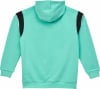Puma ÖFB FtblArchive Hoodie