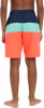 Firefly Natal Badeshorts