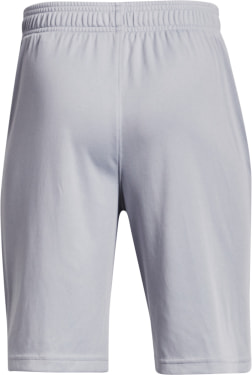 Prototype 2.0 Logo Shorts