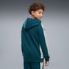 Puma Active Sports Full-Zip Sweatjacke mit Kapuze