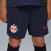 Puma FC Red Bull Salzburg 25/26 Fußballshorts