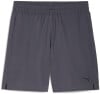 Puma Tad Foundations Shorts