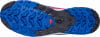Salomon XA Pro 3D V9 GTX Equipe Traillaufschuhe