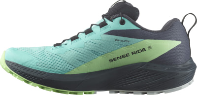 Salomon Sense Ride 5 GTX Traillaufschuhe