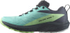 Salomon Sense Ride 5 GTX Traillaufschuhe