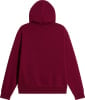 The North Face THE NORTH FACE W Evolution Simple Dome Hoodie regular 67%Baumwolle, 33% PES